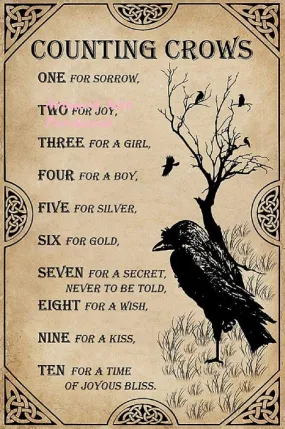 Counting Crows Quote Edgar Poe Fans Art Gift